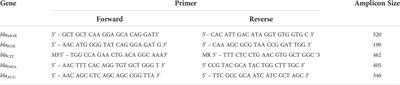 Prevalence and distribution of ampc beta-lactamase producing escherichia coli and klebsiella pneumoniae isolates obtained from urine samples at a tertiary care hospital in the caribbean